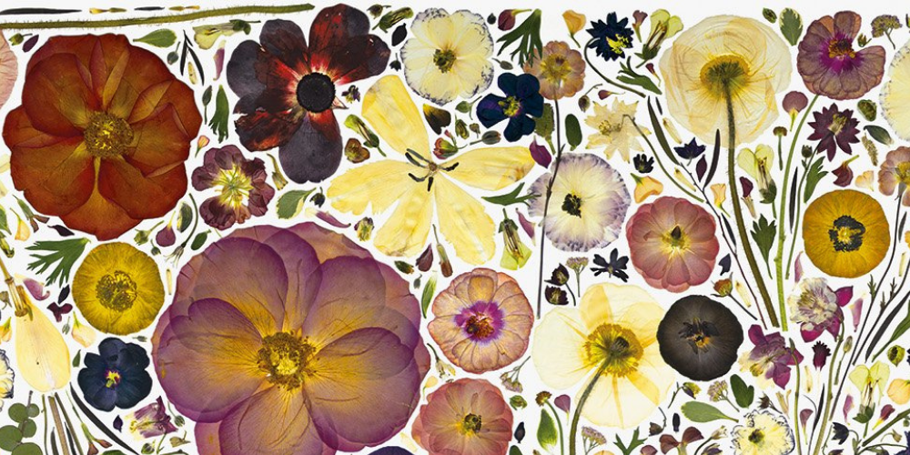 Flower Press Studio