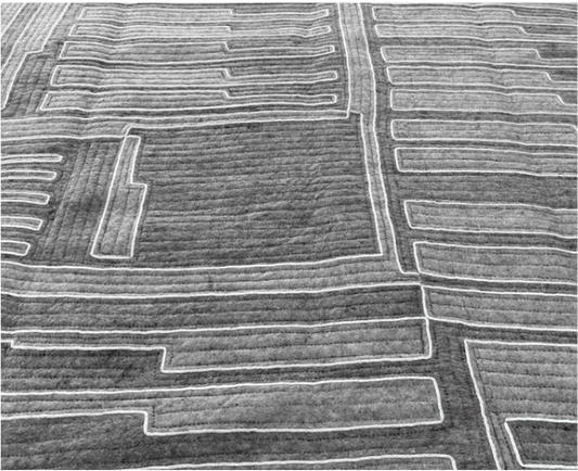 Aerial view of a field with geometric patterns