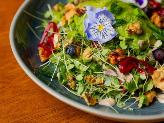 Lauren Arboleda cooking wellness lifestyle organic food and conscious living brand