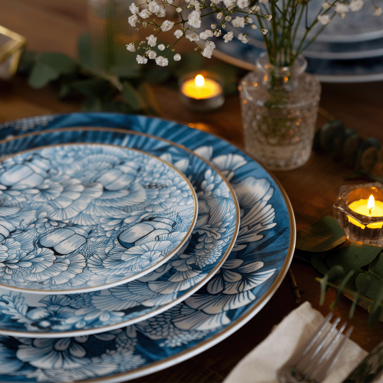 Remediarium Primum Plate Set