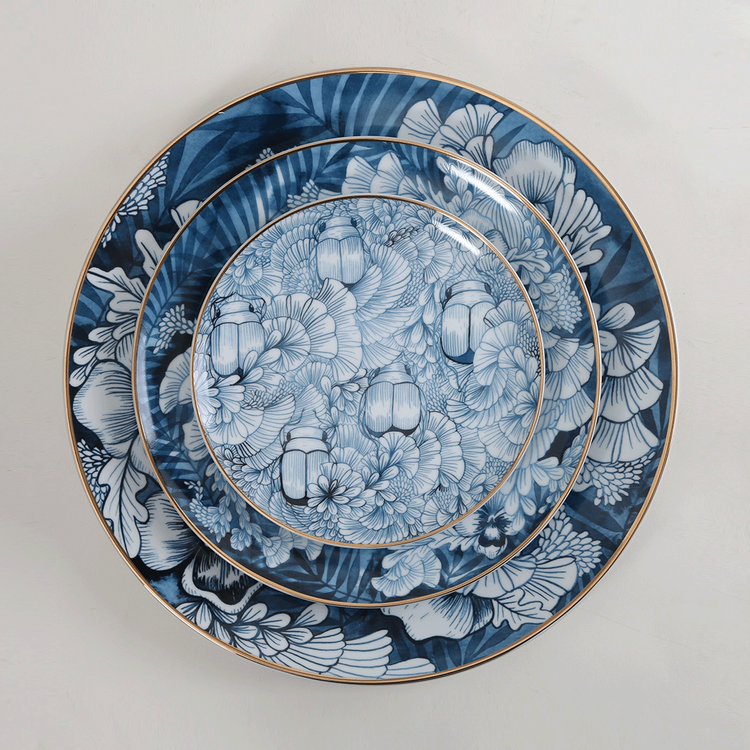 Remediarium Primum Plate Set
