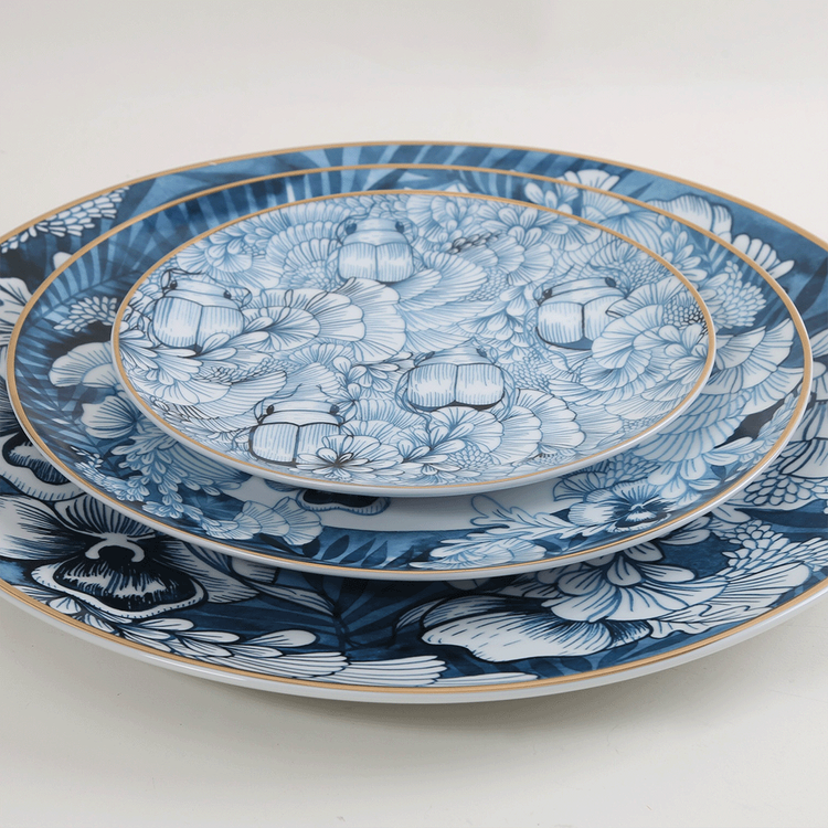 Remediarium Primum Plate Set