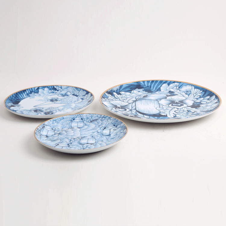 Remediarium Primum Plate Set